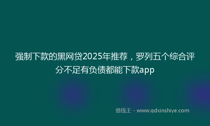 强制下款的黑网贷2025年推荐，罗列五个综合评分不足有负债都能下款app