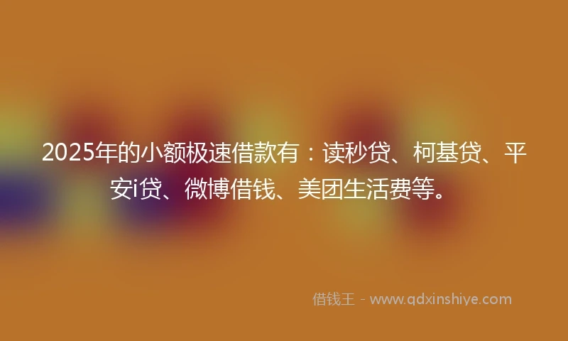 2025年的小额极速借款有：读秒贷、柯基贷、平安i贷、微博借钱、美团生活费等。
