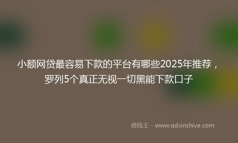 小额网贷最容易下款的平台有哪些2025年推荐，罗列5个真正无视一切黑能下款口子