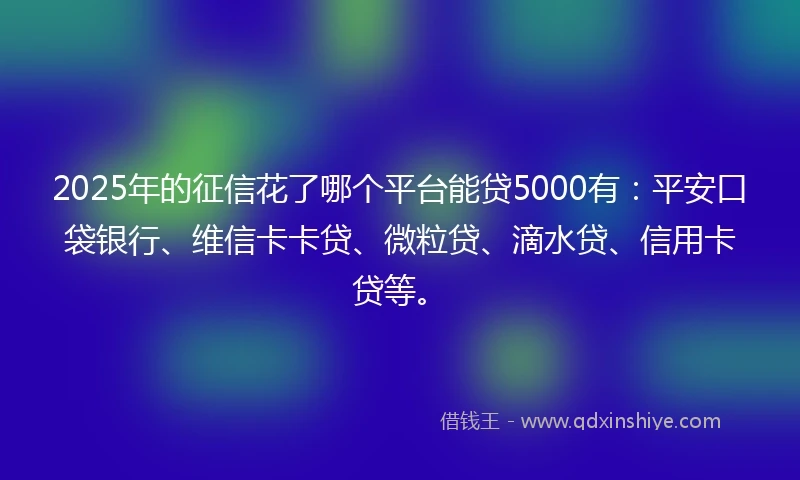 2025年的征信花了哪个平台能贷5000有：平安口袋银行、维信卡卡贷、微粒贷、滴水贷、信用卡贷等。
