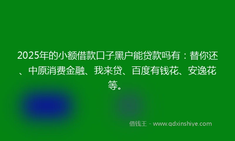 2025年的小额借款口子黑户能贷款吗有：替你还、中原消费金融、我来贷、百度有钱花、安逸花等。