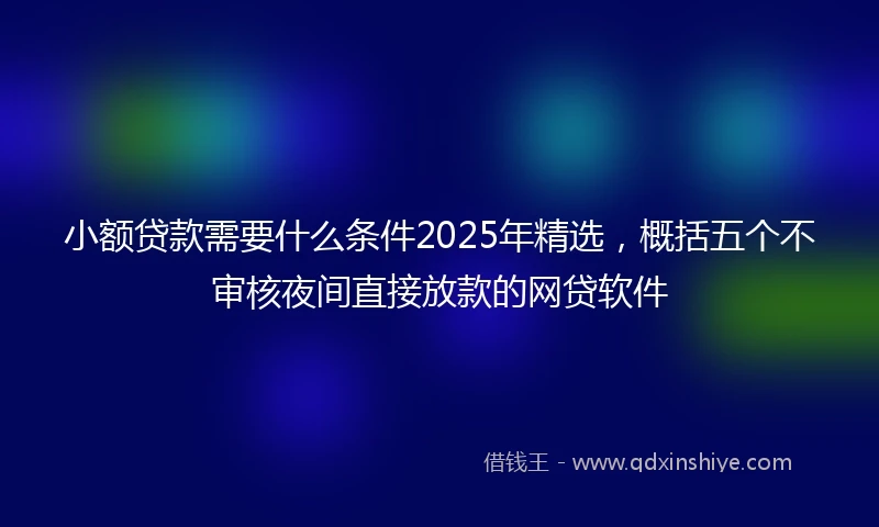 小额贷款需要什么条件2025年精选，概括五个不审核夜间直接放款的网贷软件