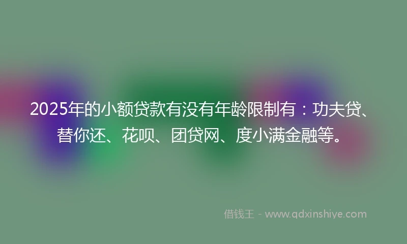 2025年的小额贷款有没有年龄限制有：功夫贷、替你还、花呗、团贷网、度小满金融等。
