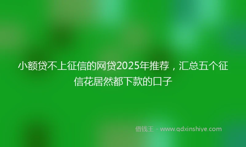 小额贷不上征信的网贷2025年推荐，汇总五个征信花居然都下款的口子