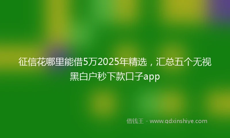 征信花哪里能借5万2025年精选，汇总五个无视黑白户秒下款口子app