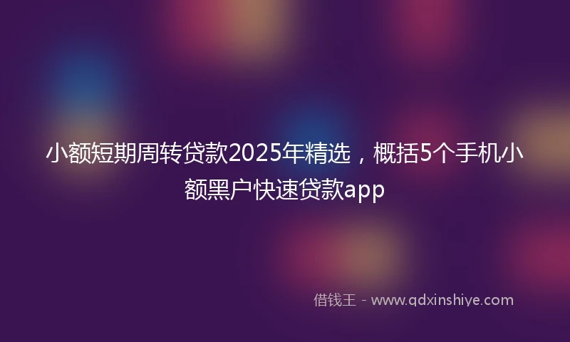 小额短期周转贷款2025年精选，概括5个手机小额黑户快速贷款app