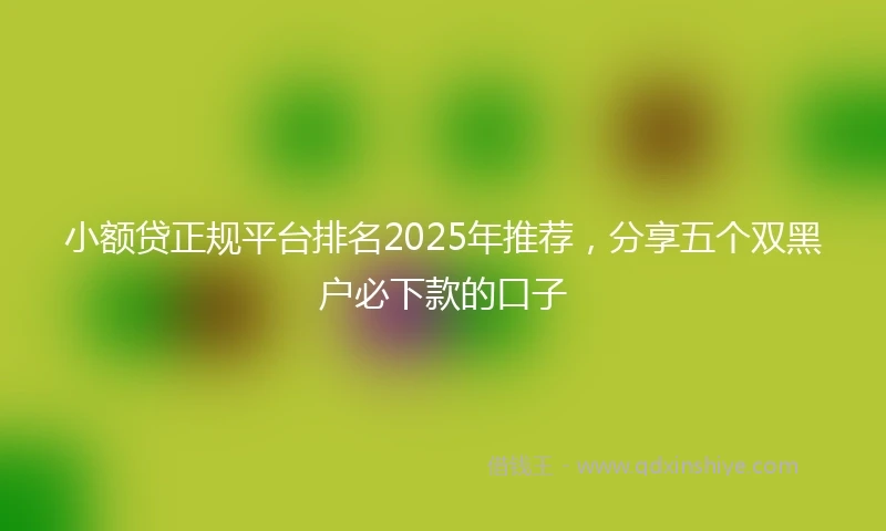 小额贷正规平台排名2025年推荐，分享五个双黑户必下款的口子