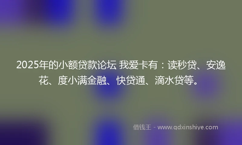 2025年的小额贷款论坛 我爱卡有：读秒贷、安逸花、度小满金融、快贷通、滴水贷等。