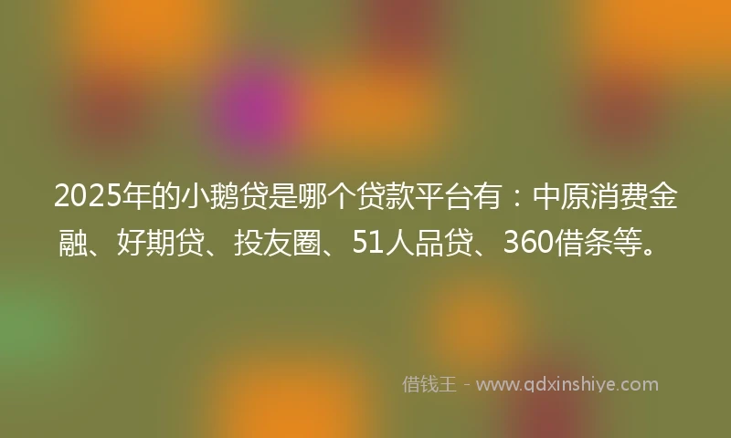 2025年的小鹅贷是哪个贷款平台有：中原消费金融、好期贷、投友圈、51人品贷、360借条等。