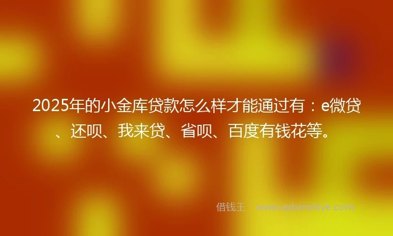 2025年的小金库贷款怎么样才能通过有：e微贷、还呗、我来贷、省呗、百度有钱花等。