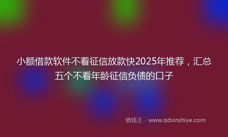 小额借款软件不看征信放款快2025年推荐，汇总五个不看年龄征信负债的口子