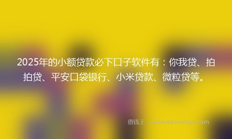2025年的小额贷款必下口子软件有：你我贷、拍拍贷、平安口袋银行、小米贷款、微粒贷等。