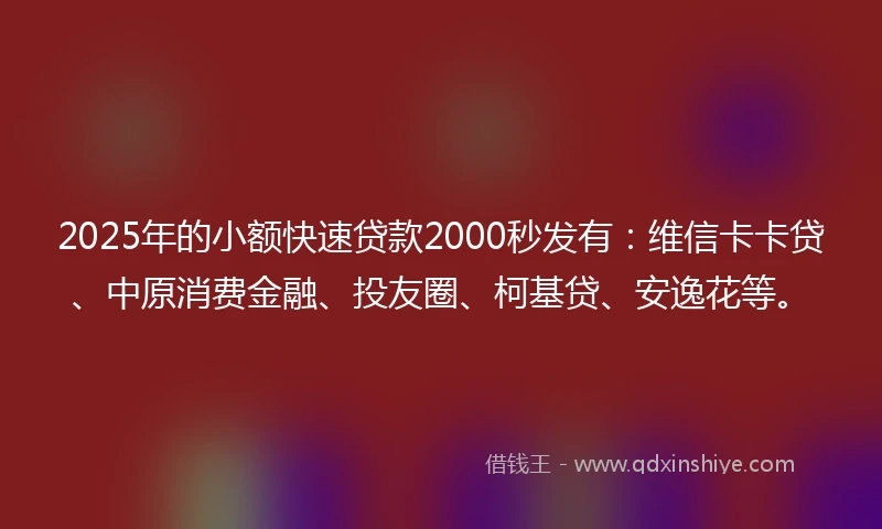 2025年的小额快速贷款2000秒发有：维信卡卡贷、中原消费金融、投友圈、柯基贷、安逸花等。