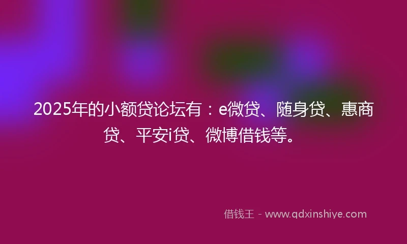 2025年的小额贷论坛有：e微贷、随身贷、惠商贷、平安i贷、微博借钱等。