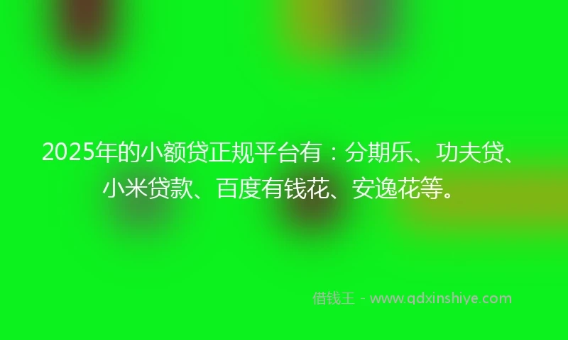 2025年的小额贷正规平台有：分期乐、功夫贷、小米贷款、百度有钱花、安逸花等。