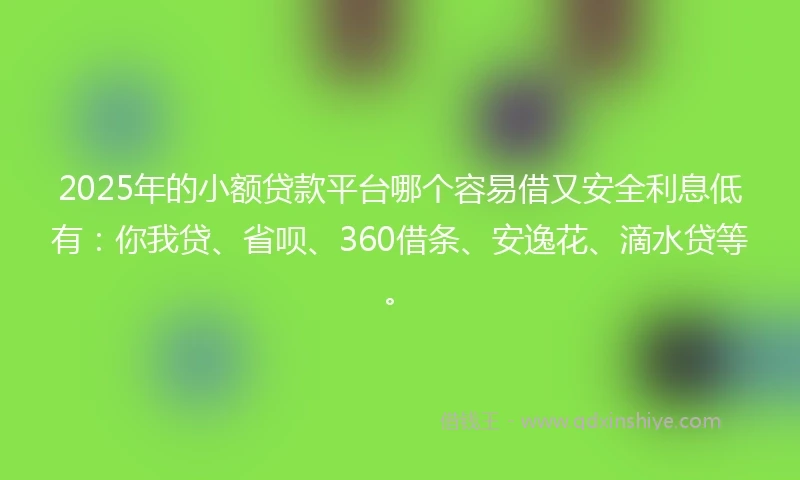 2025年的小额贷款平台哪个容易借又安全利息低有：你我贷、省呗、360借条、安逸花、滴水贷等。