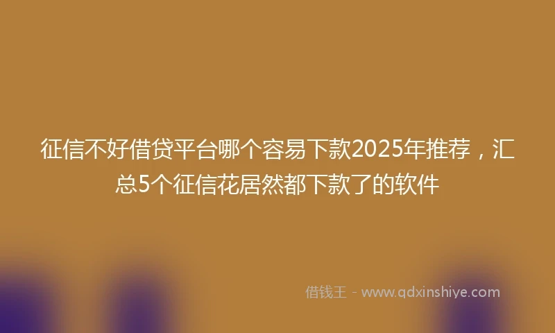 征信不好借贷平台哪个容易下款2025年推荐，汇总5个征信花居然都下款了的软件