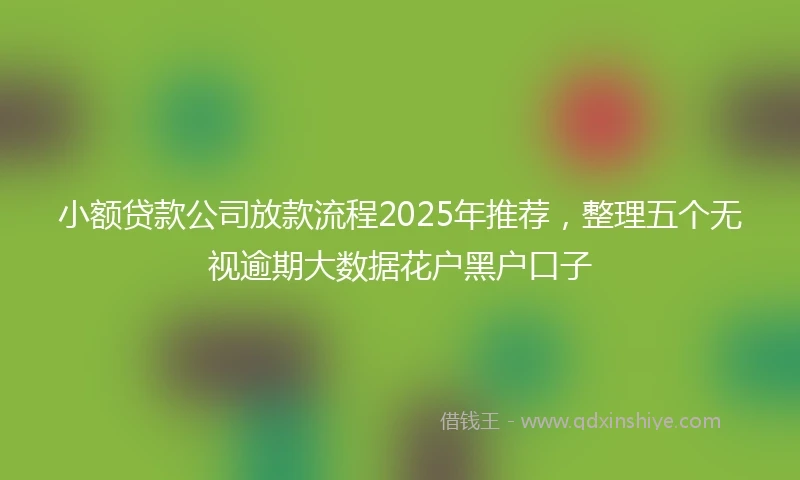 小额贷款公司放款流程2025年推荐，整理五个无视逾期大数据花户黑户口子