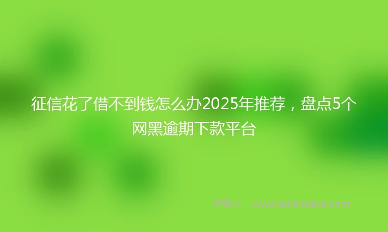 征信花了借不到钱怎么办2025年推荐，盘点5个网黑逾期下款平台