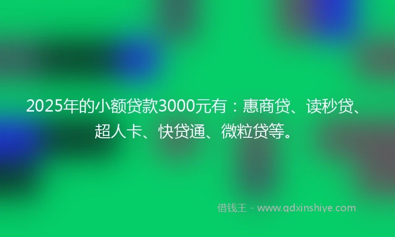 2025年的小额贷款3000元有：惠商贷、读秒贷、超人卡、快贷通、微粒贷等。