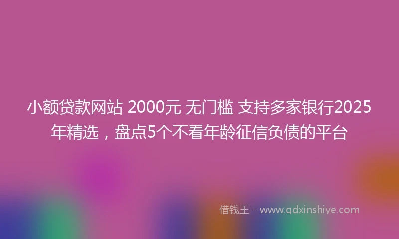 小额贷款网站 2000元 无门槛 支持多家银行2025年精选，盘点5个不看年龄征信负债的平台