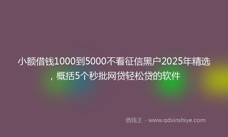 小额借钱1000到5000不看征信黑户2025年精选，概括5个秒批网贷轻松贷的软件