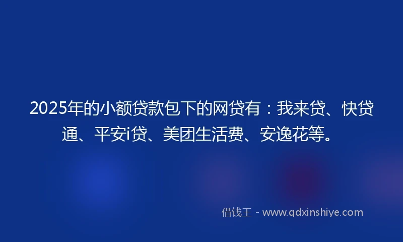 2025年的小额贷款包下的网贷有：我来贷、快贷通、平安i贷、美团生活费、安逸花等。