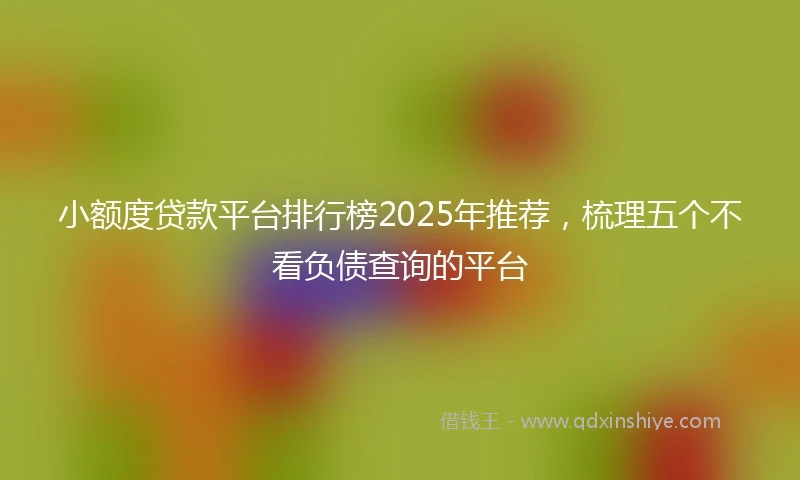 小额度贷款平台排行榜2025年推荐，梳理五个不看负债查询的平台