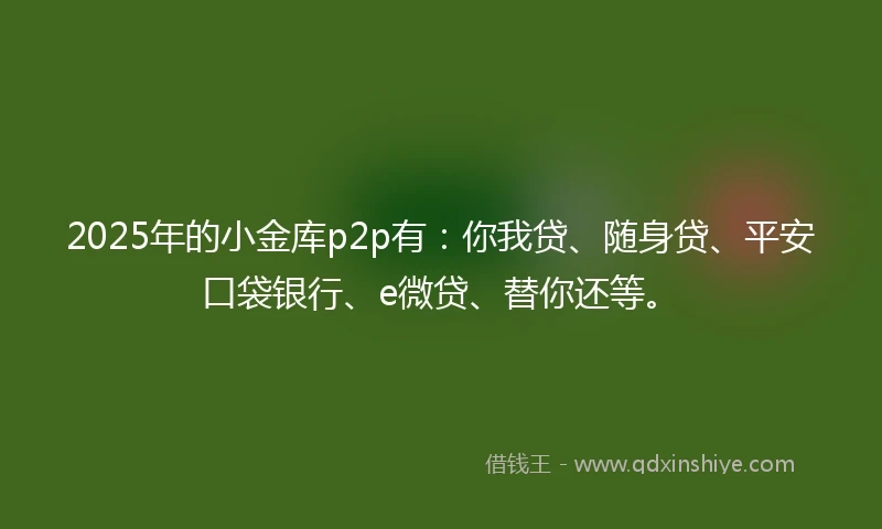 2025年的小金库p2p有：你我贷、随身贷、平安口袋银行、e微贷、替你还等。