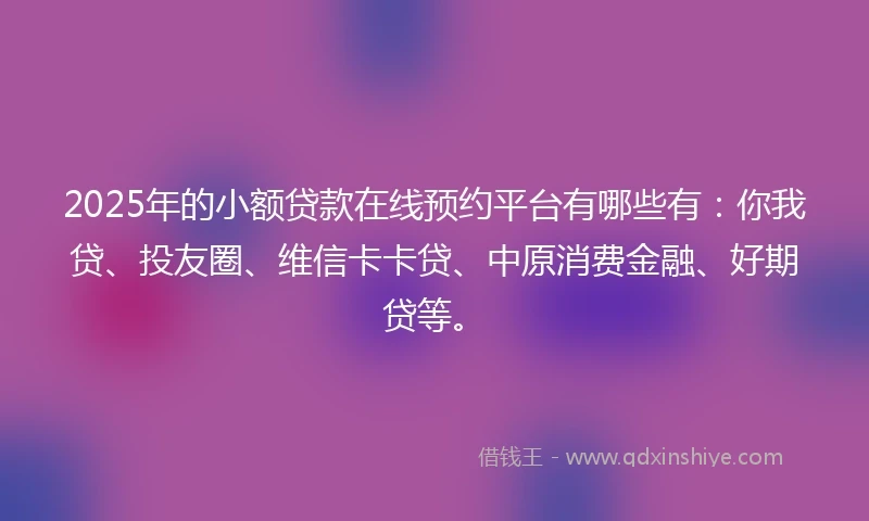 2025年的小额贷款在线预约平台有哪些有：你我贷、投友圈、维信卡卡贷、中原消费金融、好期贷等。
