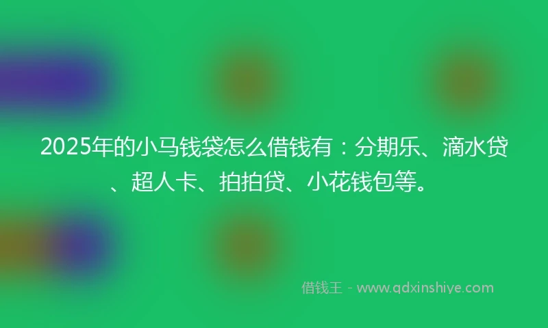 2025年的小马钱袋怎么借钱有：分期乐、滴水贷、超人卡、拍拍贷、小花钱包等。
