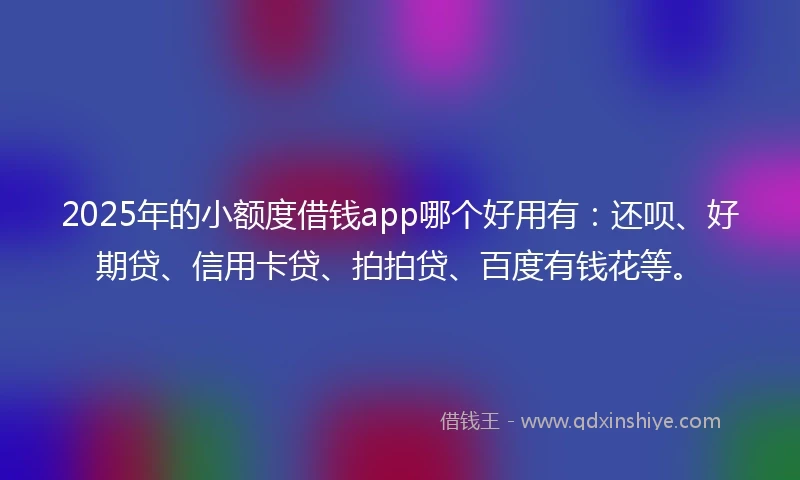 2025年的小额度借钱app哪个好用有：还呗、好期贷、信用卡贷、拍拍贷、百度有钱花等。