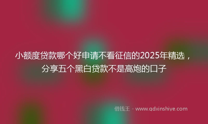 小额度贷款哪个好申请不看征信的2025年精选，分享五个黑白贷款不是高炮的口子