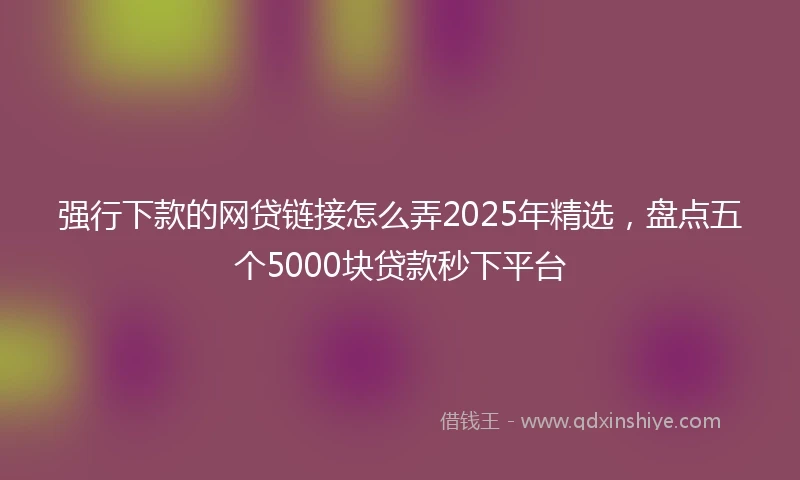 强行下款的网贷链接怎么弄2025年精选，盘点五个5000块贷款秒下平台