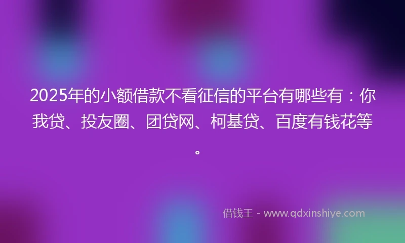 2025年的小额借款不看征信的平台有哪些有：你我贷、投友圈、团贷网、柯基贷、百度有钱花等。