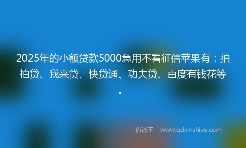 2025年的小额贷款5000急用不看征信苹果有：拍拍贷、我来贷、快贷通、功夫贷、百度有钱花等。