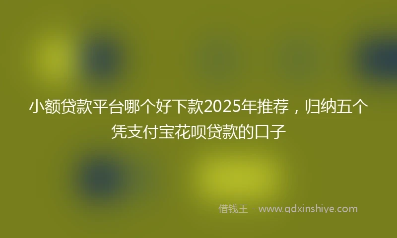 小额贷款平台哪个好下款2025年推荐，归纳五个凭支付宝花呗贷款的口子