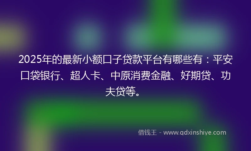 2025年的最新小额口子贷款平台有哪些有：平安口袋银行、超人卡、中原消费金融、好期贷、功夫贷等。