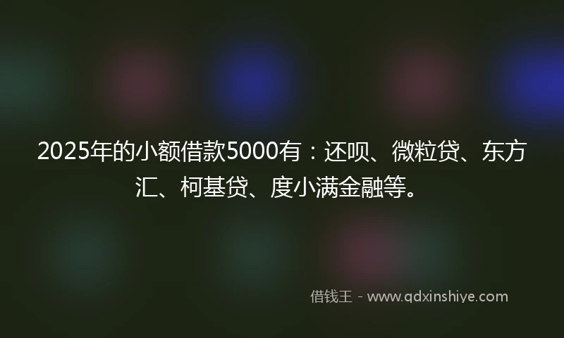 2025年的小额借款5000有：还呗、微粒贷、东方汇、柯基贷、度小满金融等。