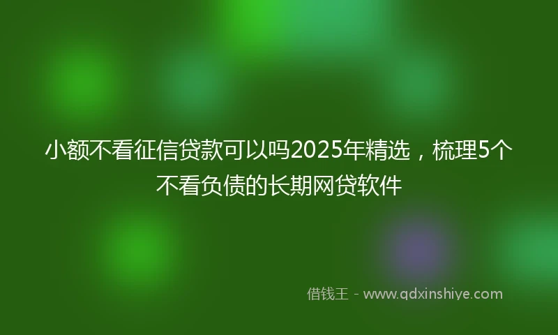 小额不看征信贷款可以吗2025年精选，梳理5个不看负债的长期网贷软件