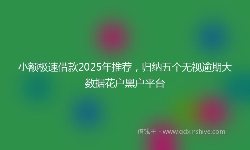 小额极速借款2025年推荐，归纳五个无视逾期大数据花户黑户平台