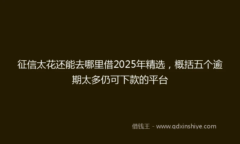 征信太花还能去哪里借2025年精选，概括五个逾期太多仍可下款的平台