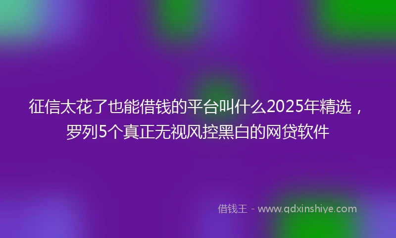 征信太花了也能借钱的平台叫什么2025年精选，罗列5个真正无视风控黑白的网贷软件