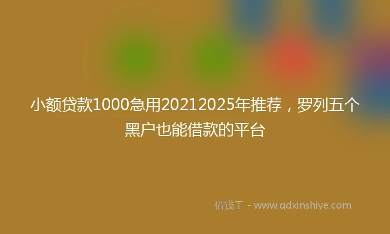 小额贷款1000急用20212025年推荐，罗列五个黑户也能借款的平台