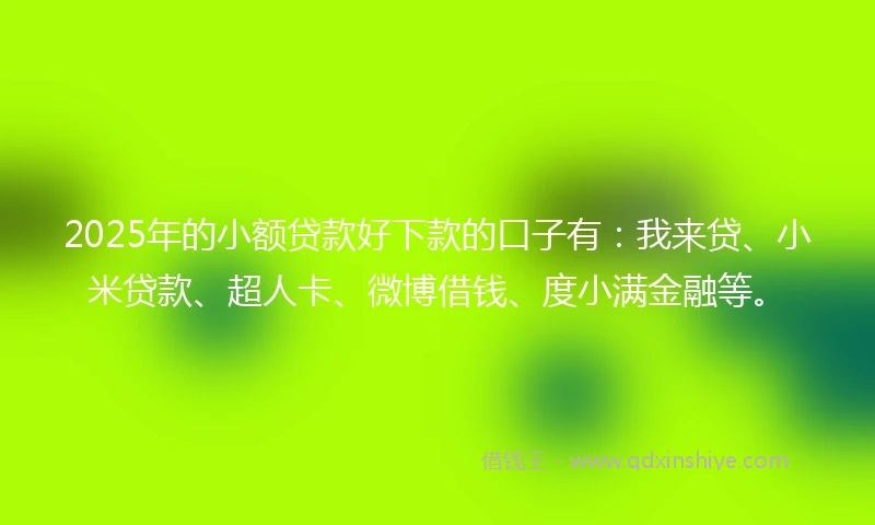 2025年的小额贷款好下款的口子有：我来贷、小米贷款、超人卡、微博借钱、度小满金融等。