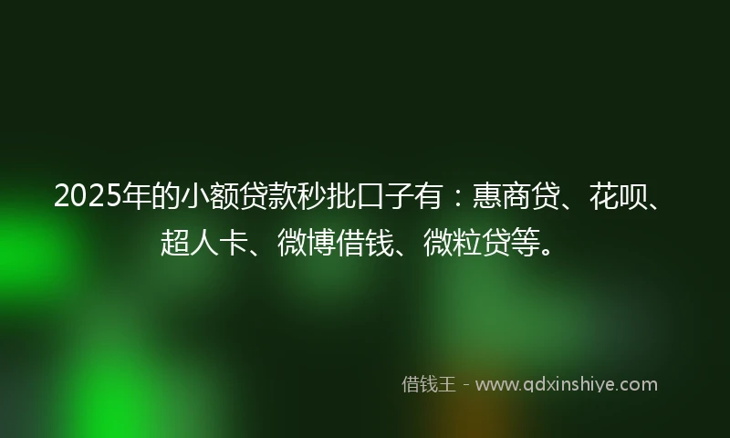 2025年的小额贷款秒批口子有：惠商贷、花呗、超人卡、微博借钱、微粒贷等。