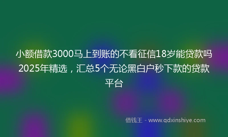 小额借款3000马上到账的不看征信18岁能贷款吗2025年精选，汇总5个无论黑白户秒下款的贷款平台