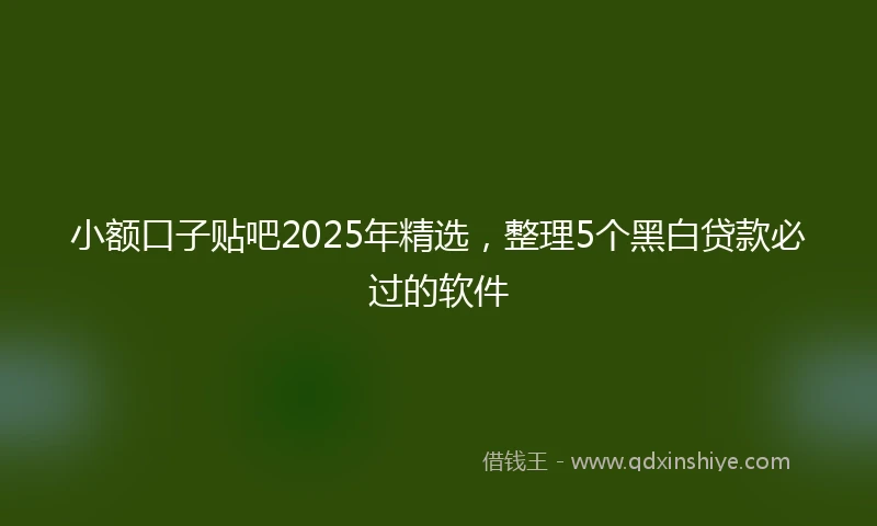 小额口子贴吧2025年精选，整理5个黑白贷款必过的软件