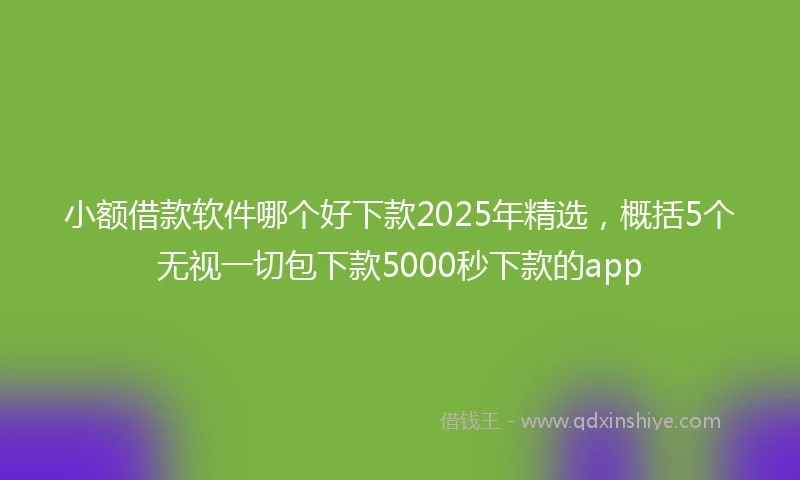 小额借款软件哪个好下款2025年精选，概括5个无视一切包下款5000秒下款的app
