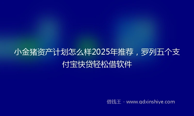 小金猪资产计划怎么样2025年推荐，罗列五个支付宝快贷轻松借软件